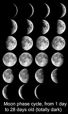 Moon_phases_all_L.ennasa