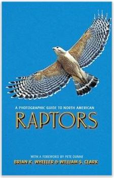 Raptor book 2