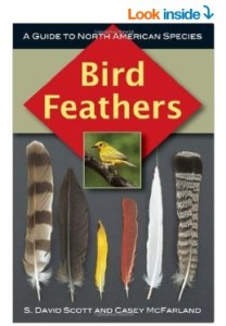 bird feather book